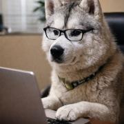 Autoga reisiv eestlane